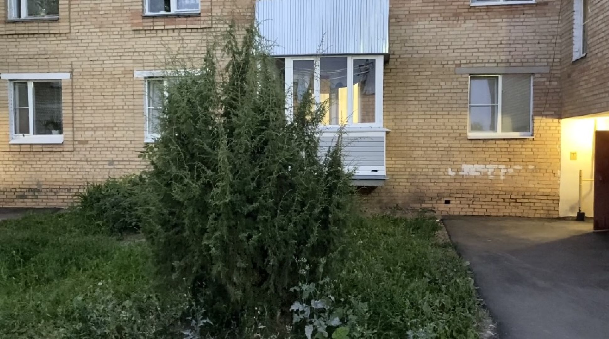 выездная, луховицы,