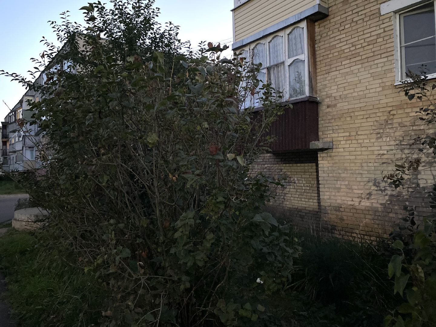 выездная, луховицы,