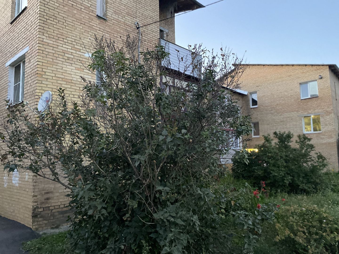 выездная, луховицы,