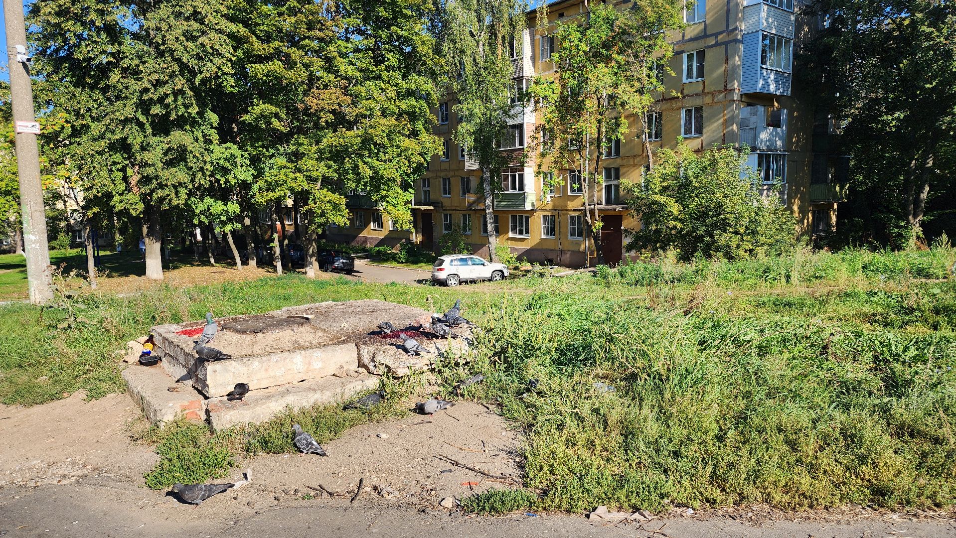 кашира, выездная администрация, благоустройство двора, детская игровая площадка, спортивная площадка,