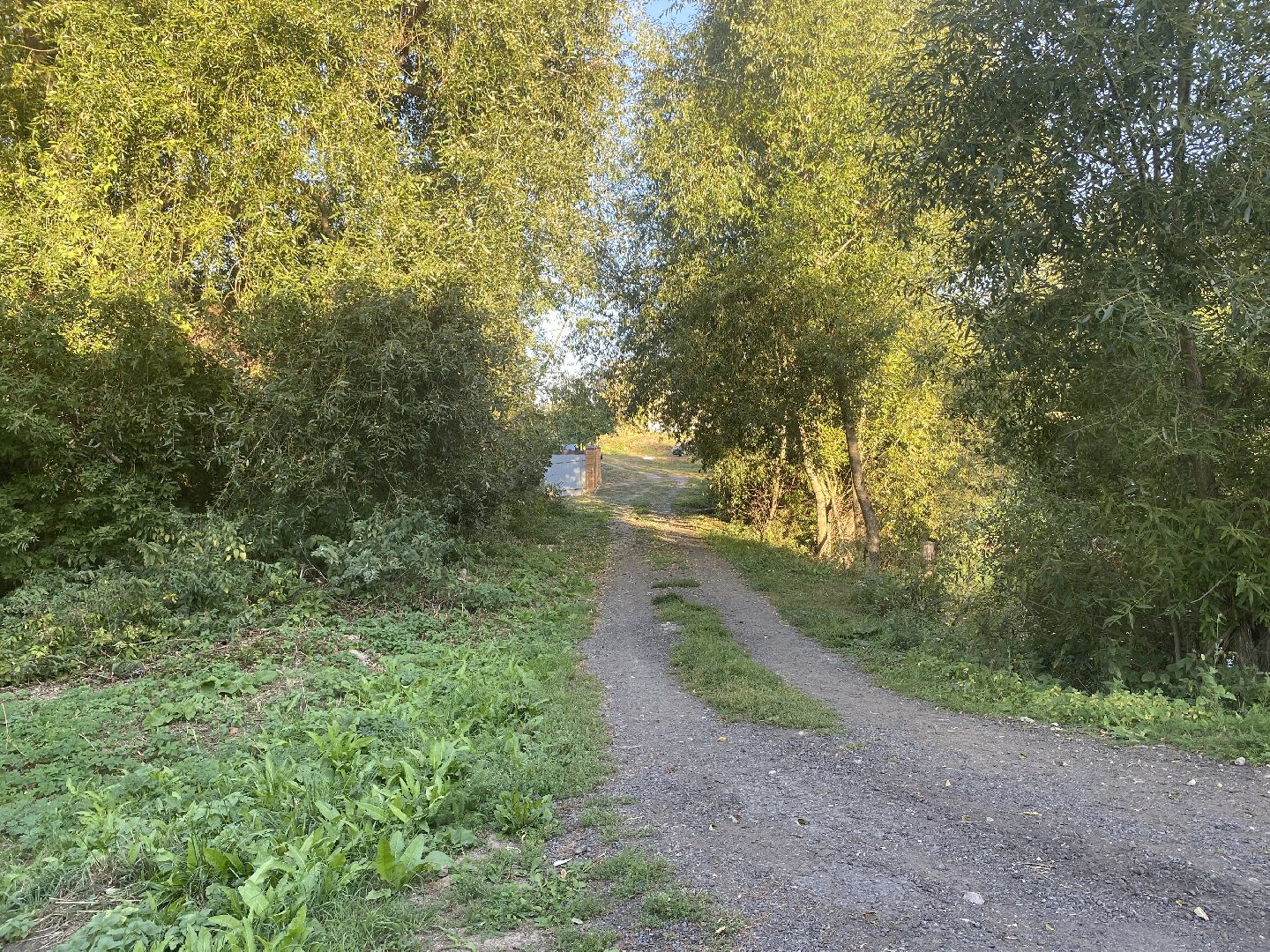 Коломна, Выездная администрация Редькино,