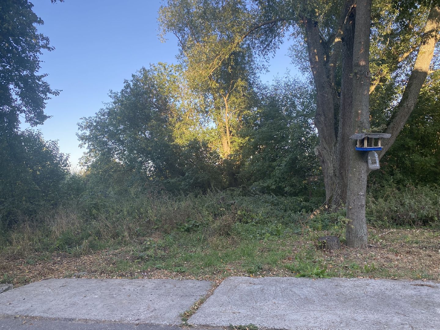 Коломна, Выездная администрация Редькино,