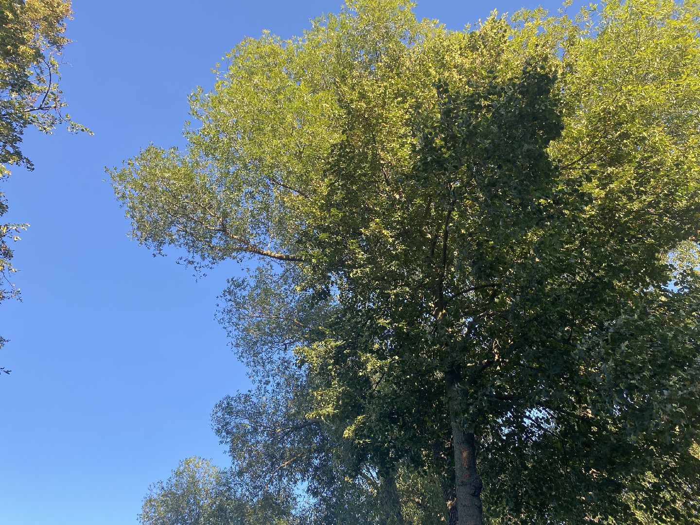 Коломна, Выездная администрация Редькино,