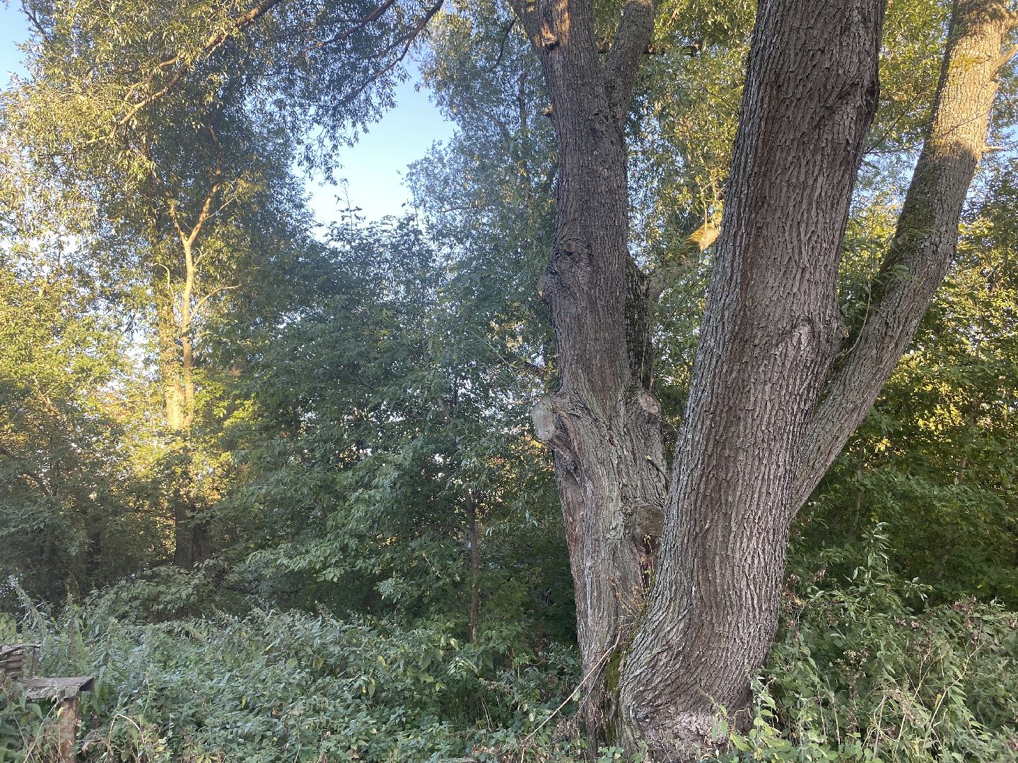 Коломна, Выездная администрация Редькино,