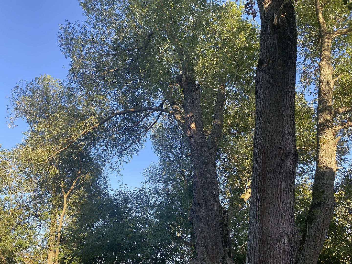 Коломна, Выездная администрация Редькино,