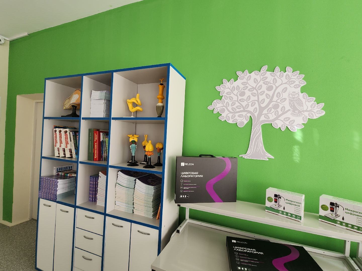 точка роста, ремонт в школе,