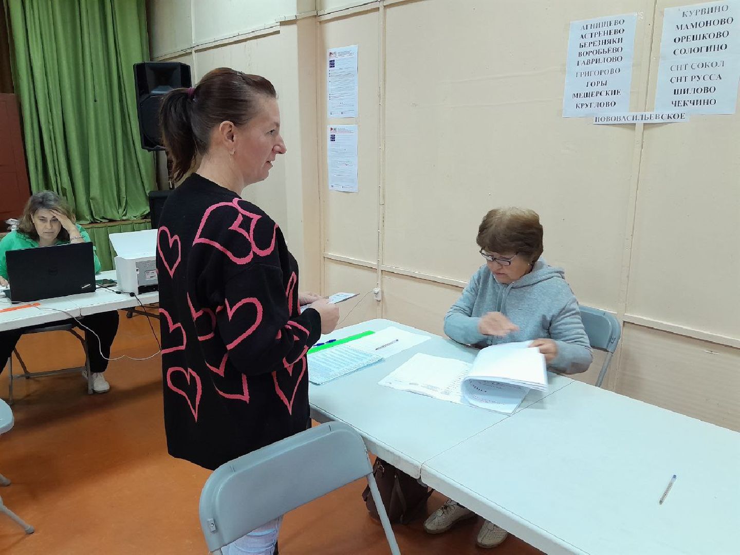 Лотошино, выборы 2024, выборы в совет депутатов 2024,