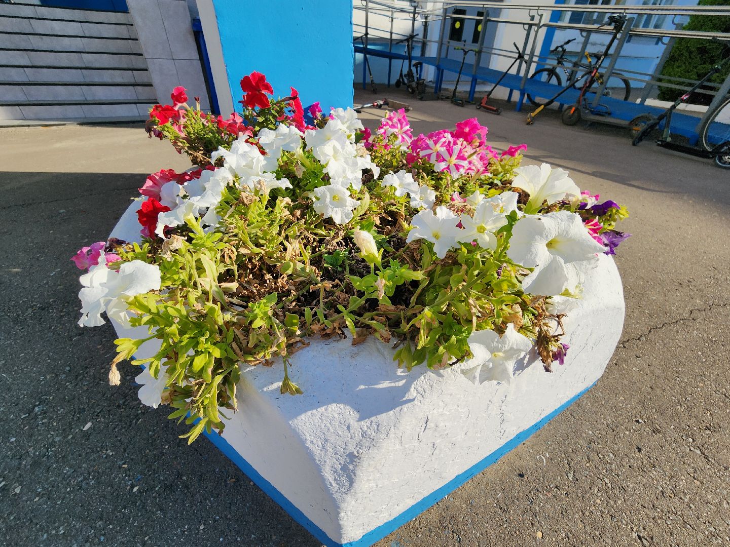 рейтинг лучших школ, 100 лучших школ подмосковья, видновская сош 7, видное, ленинский округ, призеры олимпиад, ученики и учителя, школа 7, лучшие школы московской области,