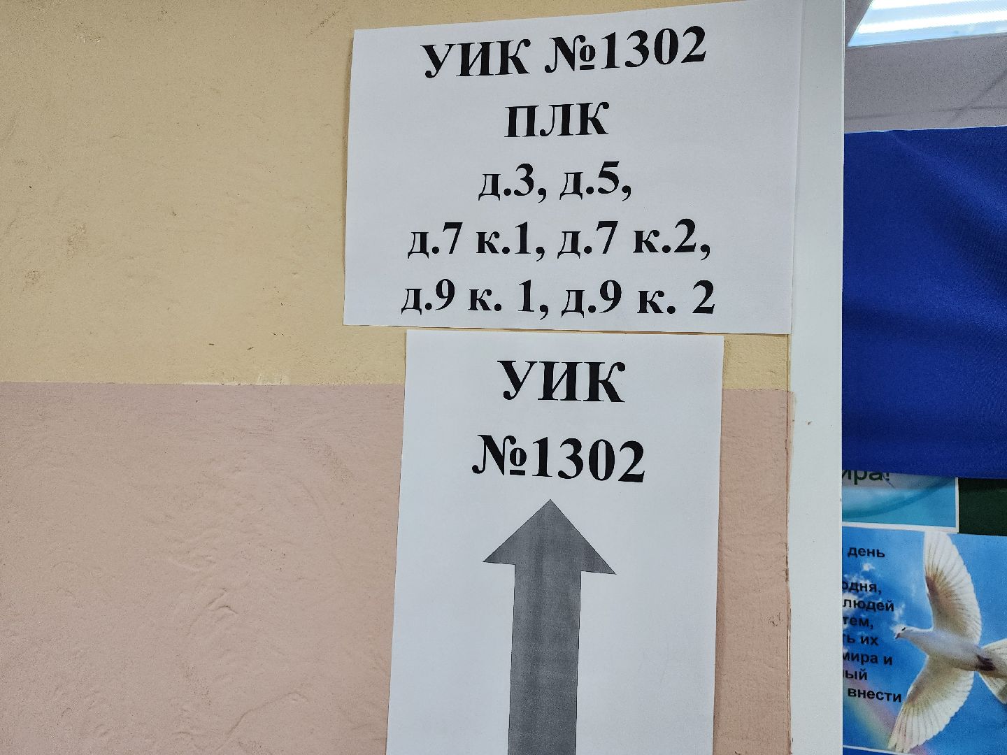 выборы, выборы 2024, муниципальные выборы депутатов, совет депутатов ленинского городского округа, видное,
