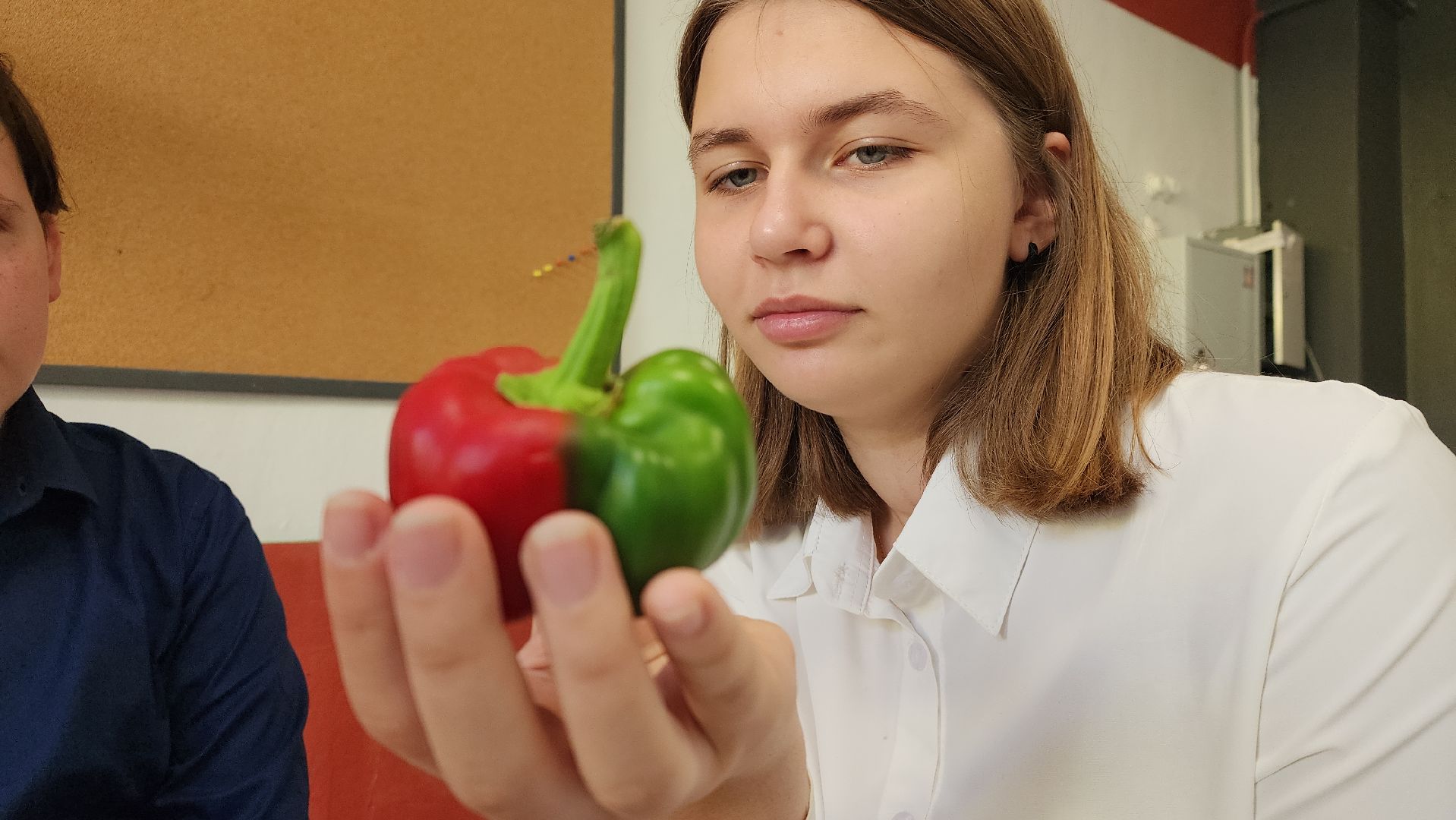 ступино, образование, агроклассы,