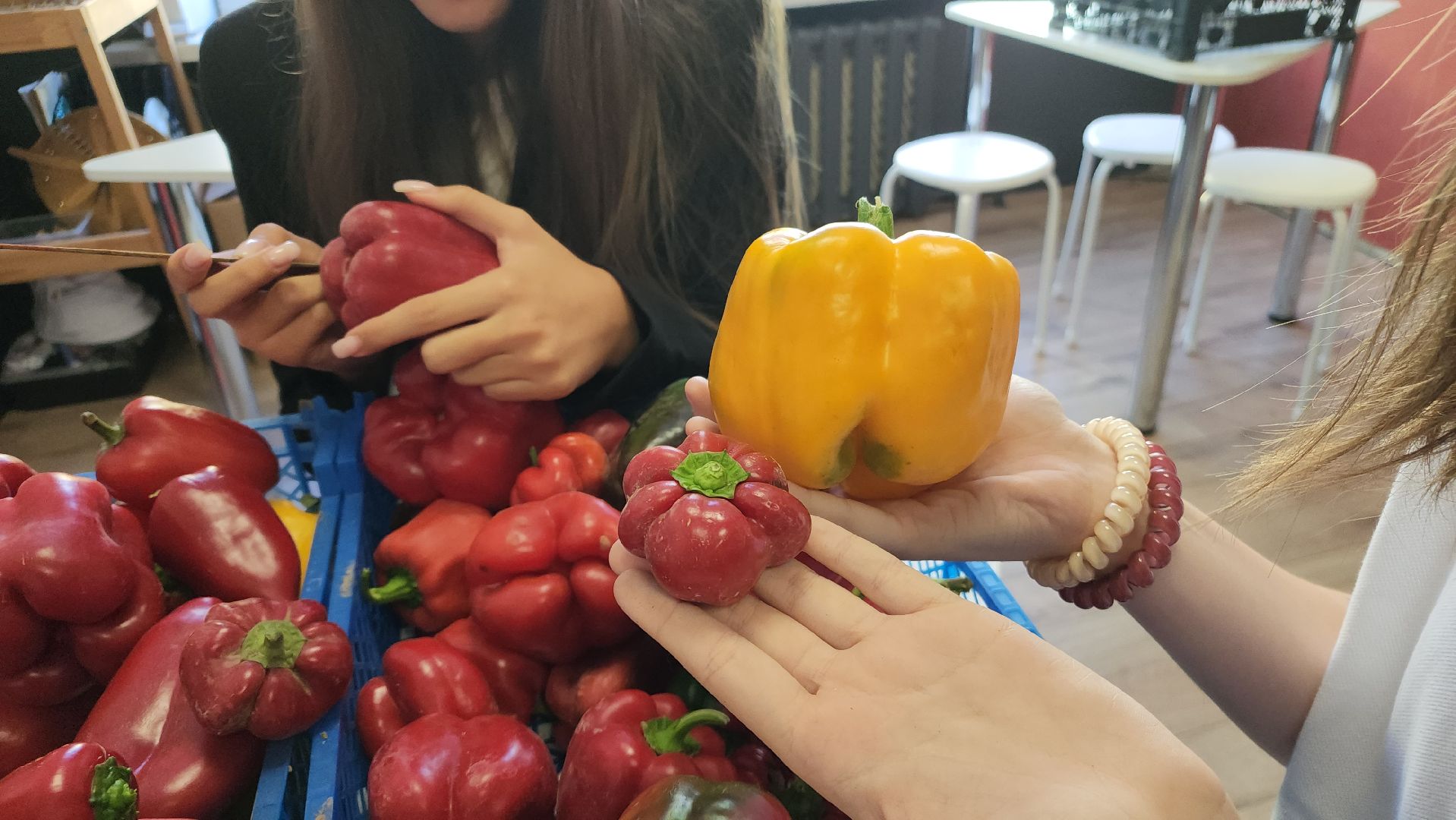 ступино, образование, агроклассы,