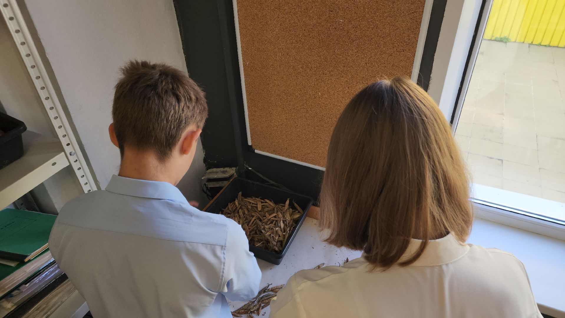 ступино, образование, агроклассы,