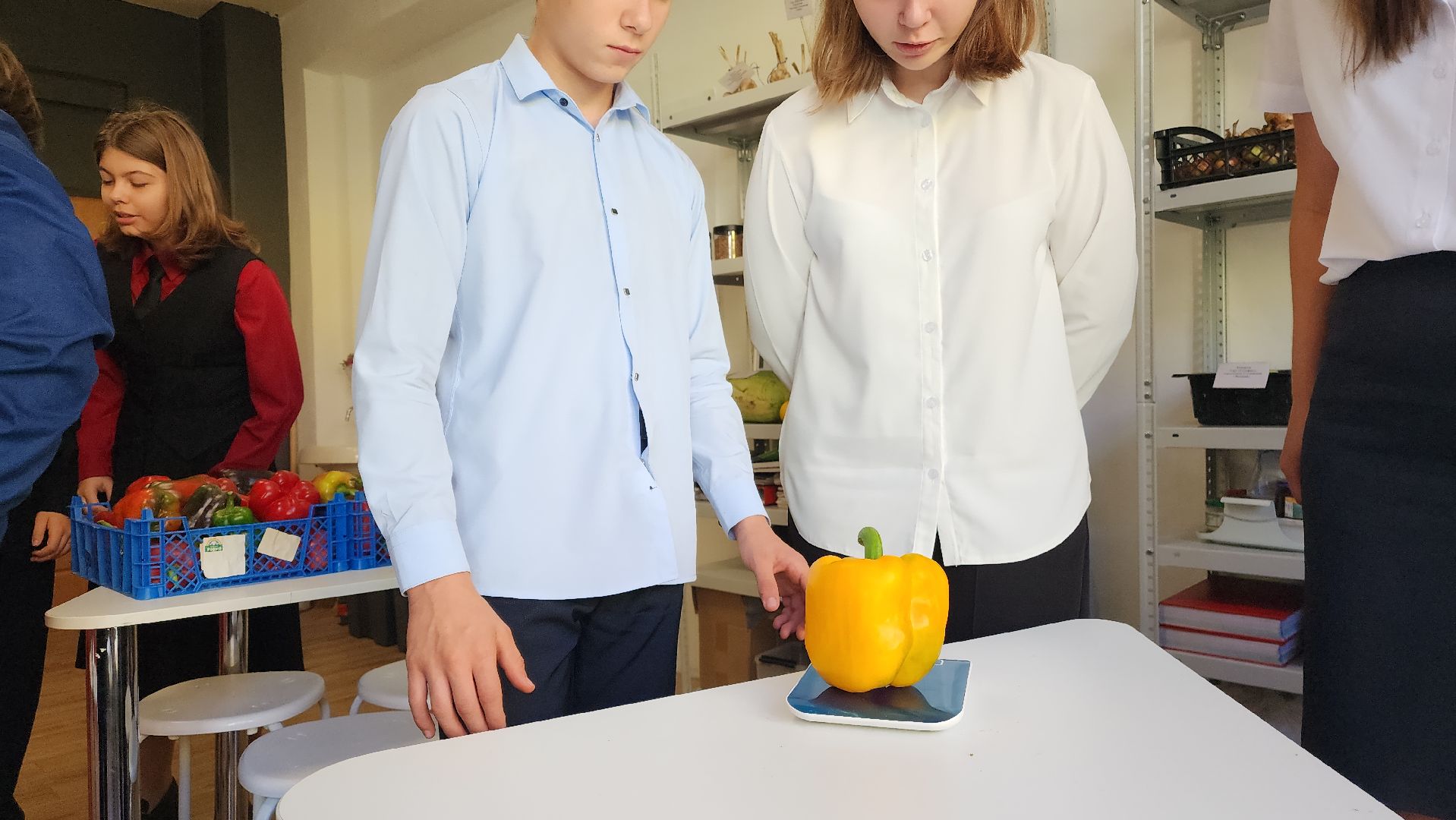 ступино, образование, агроклассы,