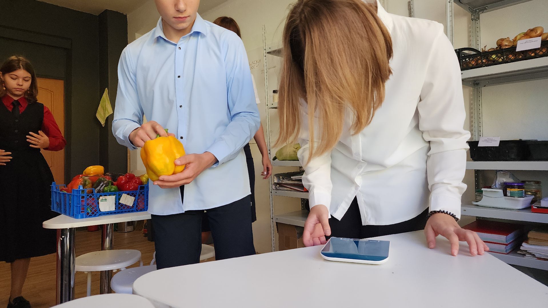 ступино, образование, агроклассы,