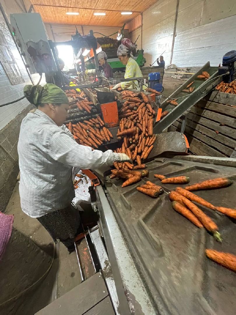 Дмитров, Мосагрофуд, Минсельхоз,