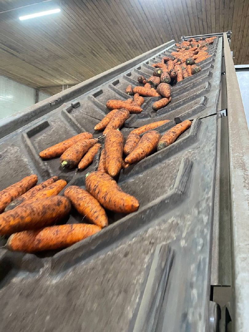 Дмитров, Мосагрофуд, Минсельхоз,