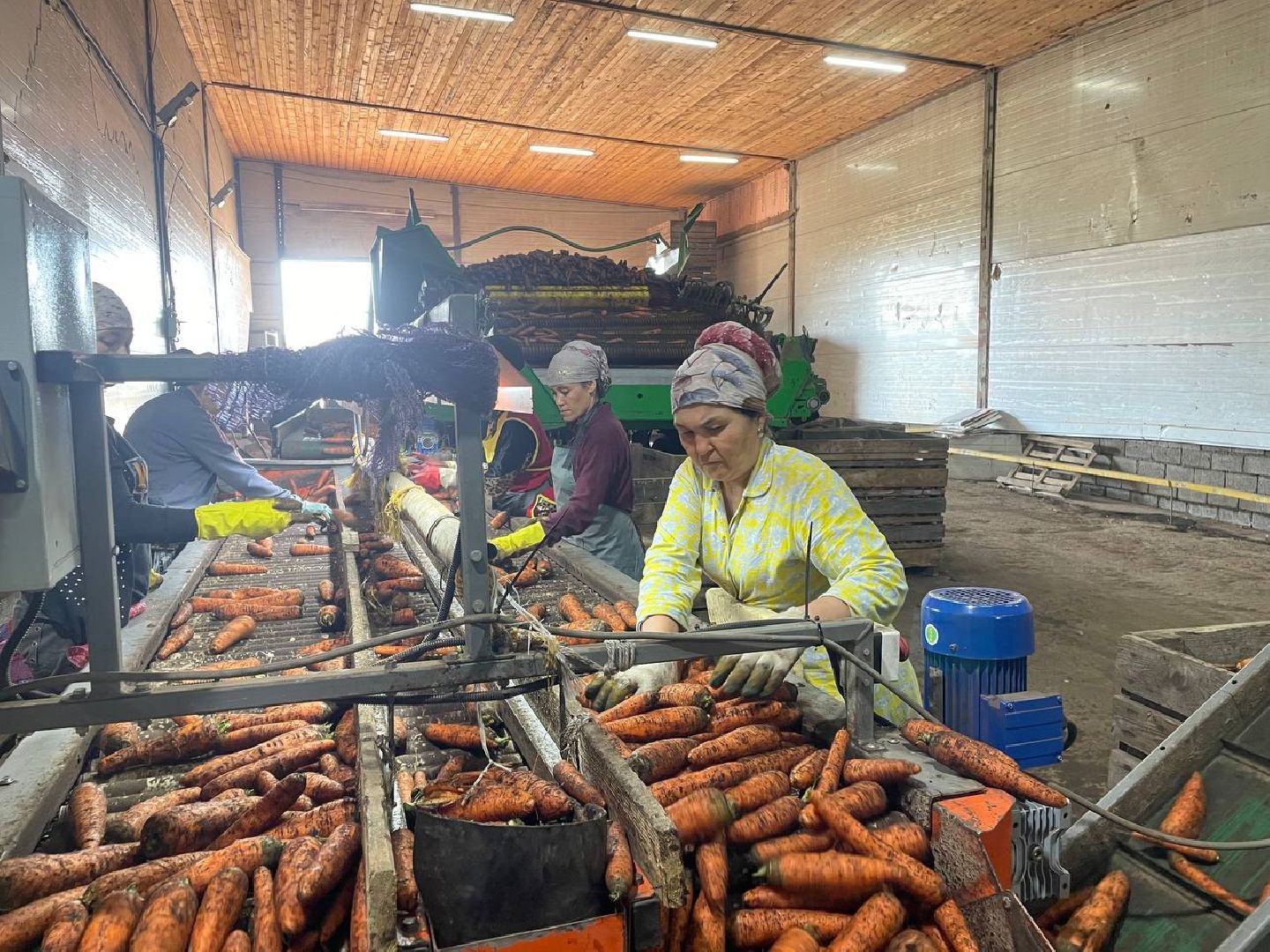 Дмитров, Мосагрофуд, Минсельхоз,