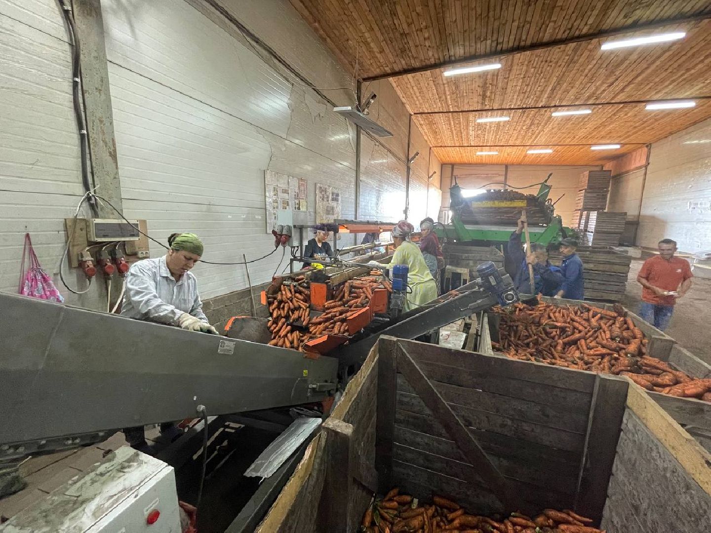 Дмитров, Мосагрофуд, Минсельхоз,