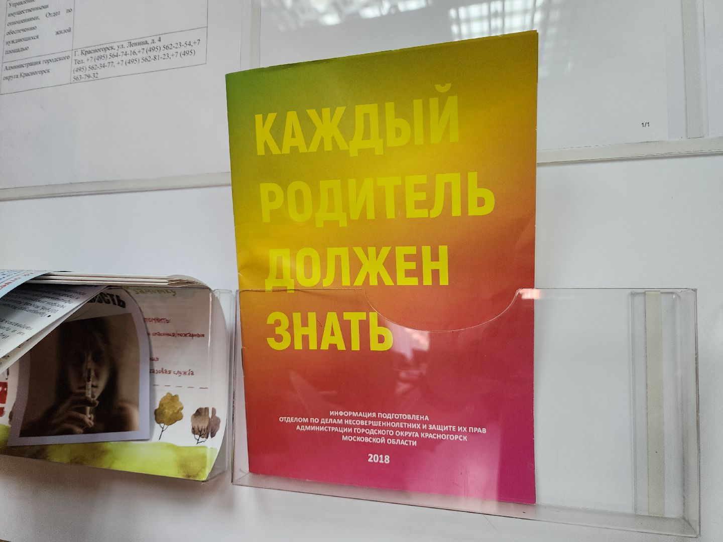 красногорск, сироты, приемные дети,