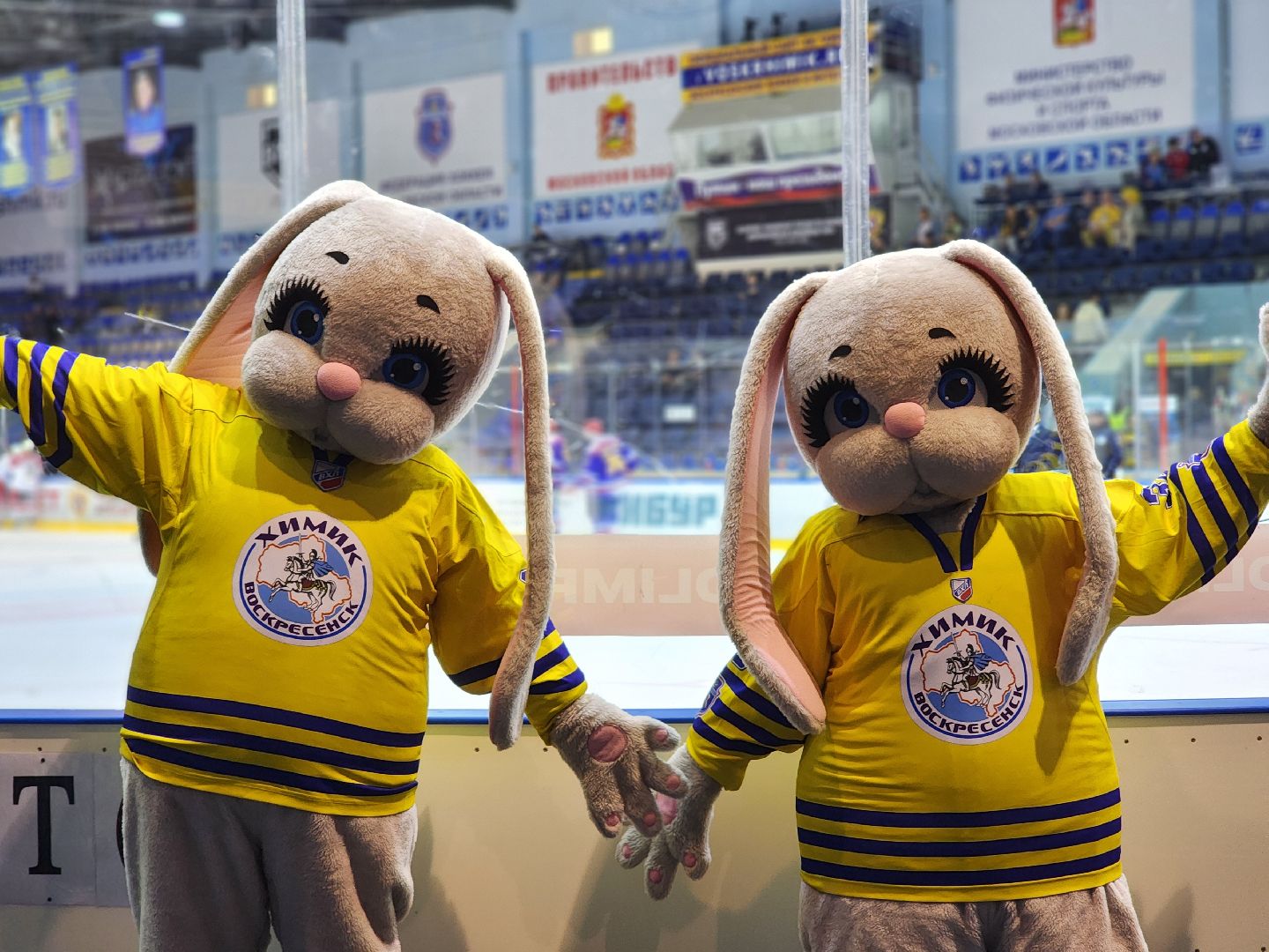 воскресенск, спорт, хоккей, химик,