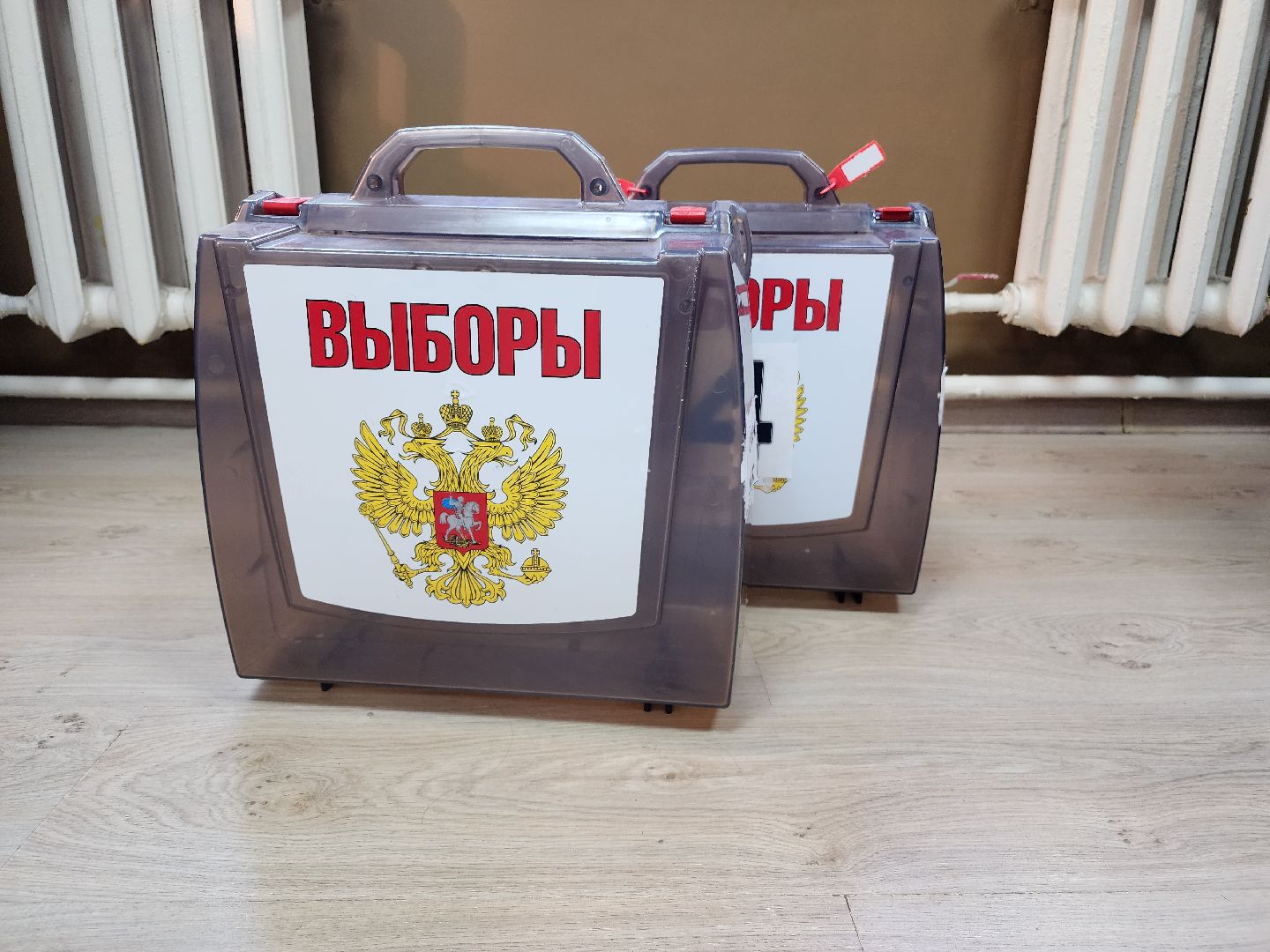 зато восход, выборы 2024, муниципальные выборы,