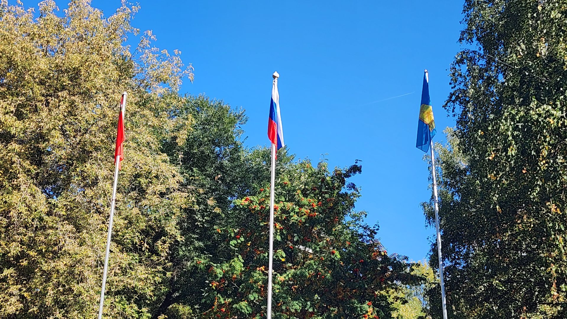 Реутов, ВЫБОРЫ, голосование, ДЕПУТАТЫ,