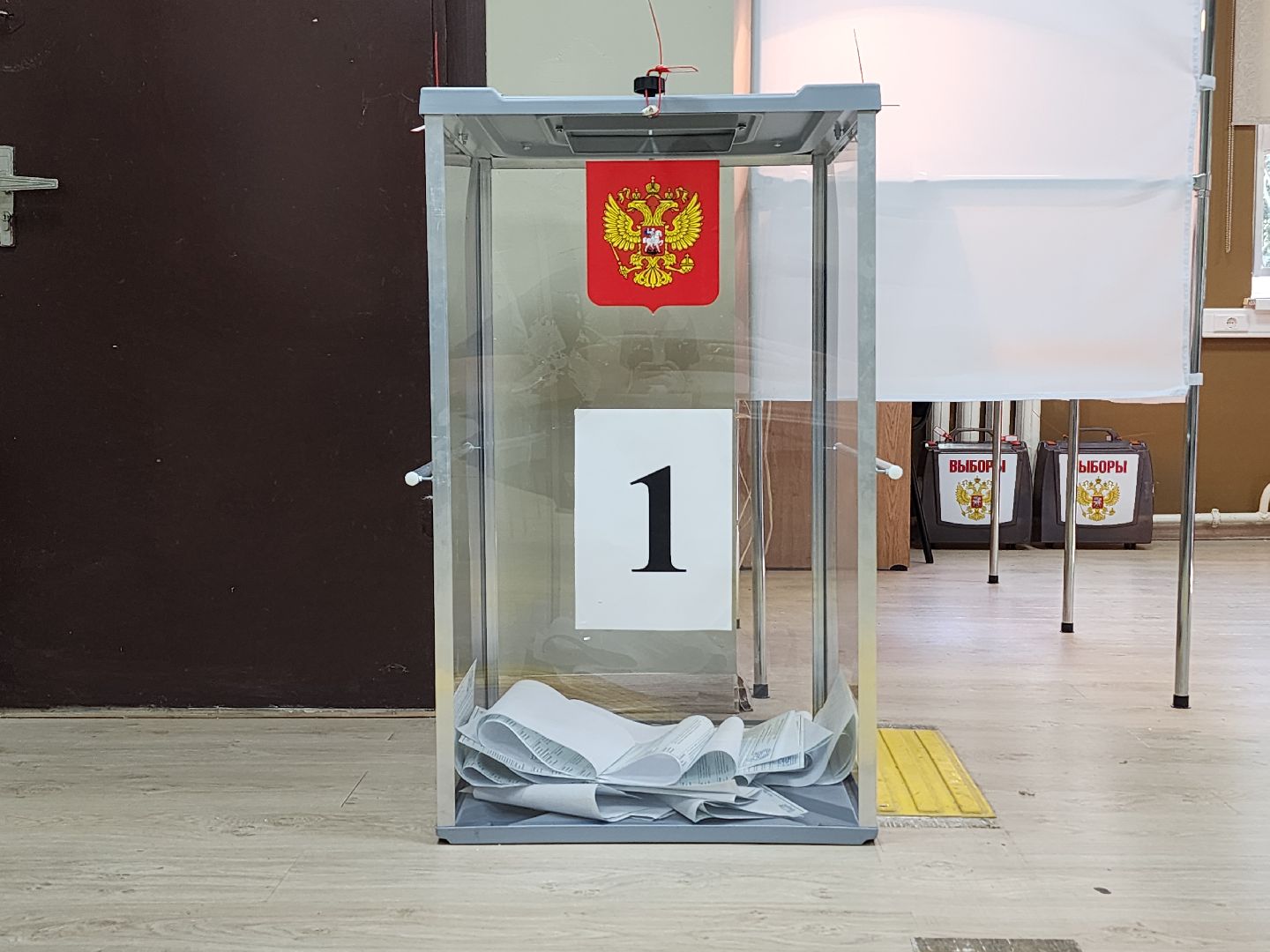 зато восход, муниципальные выборы, выборы 2024,