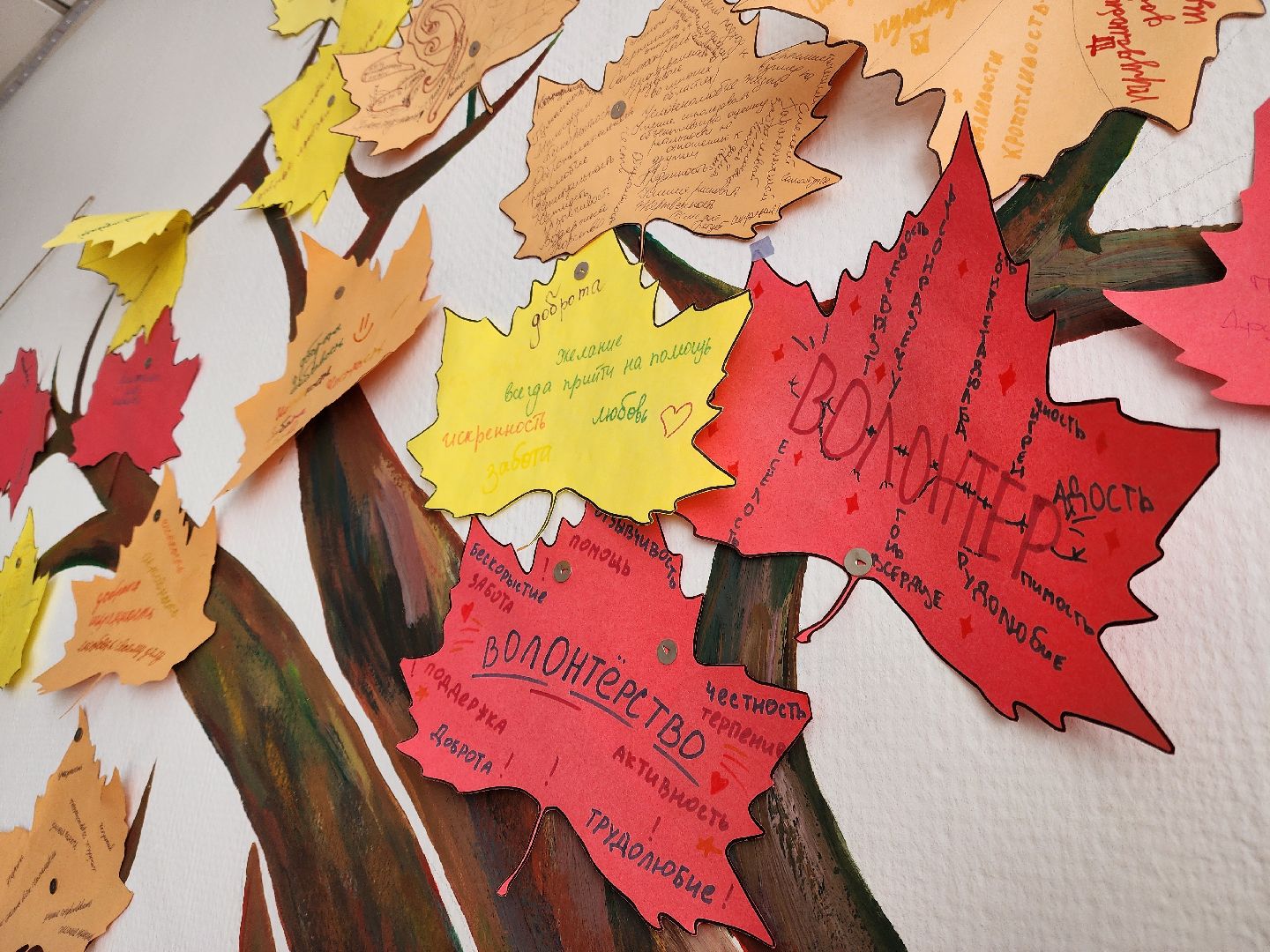 ногинск, волонтер, жители, общество, штаб волонтеров, молодежный центр, молодежь,