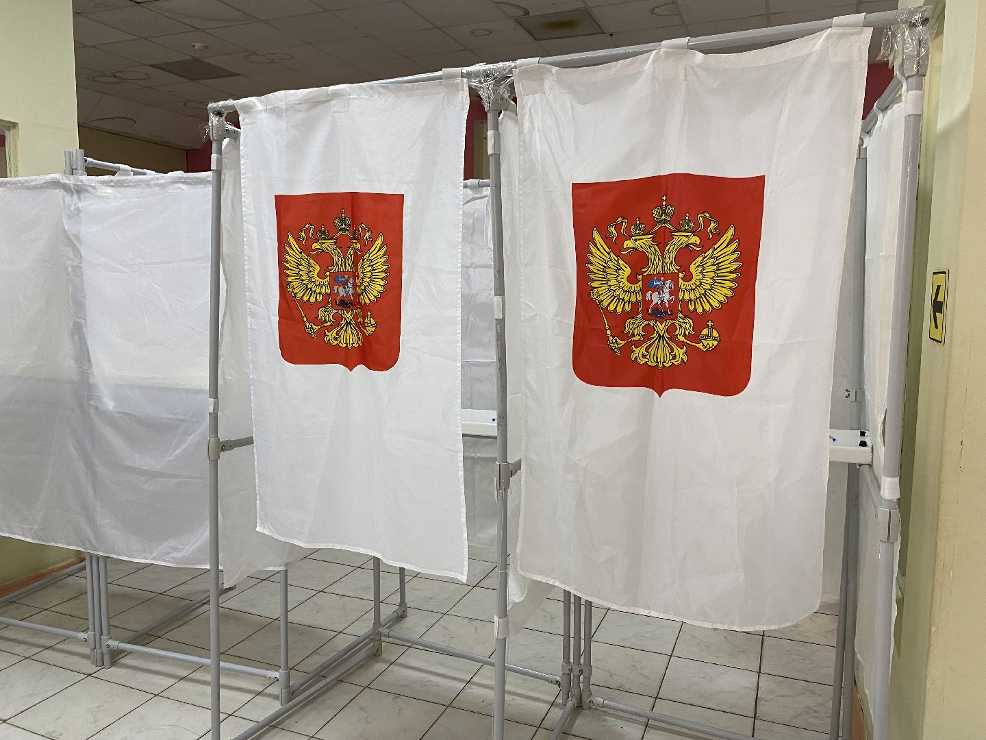 луховицы, выборы 2024,