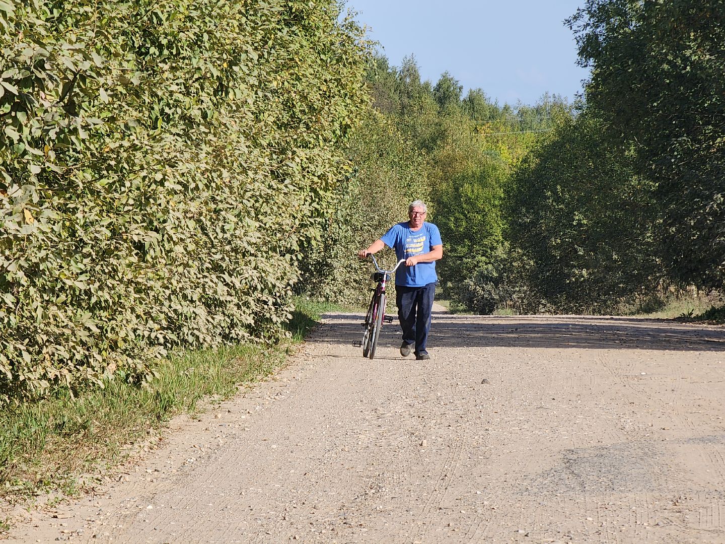 Руза, Ватулино, Чп, Авиакатастрофа, рузский городской округ, Самолет, рузский округ,