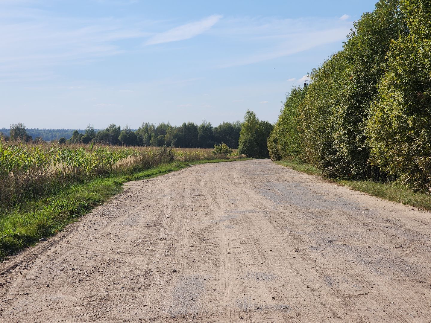 Руза, Ватулино, Чп, Авиакатастрофа, рузский городской округ, Самолет, рузский округ,