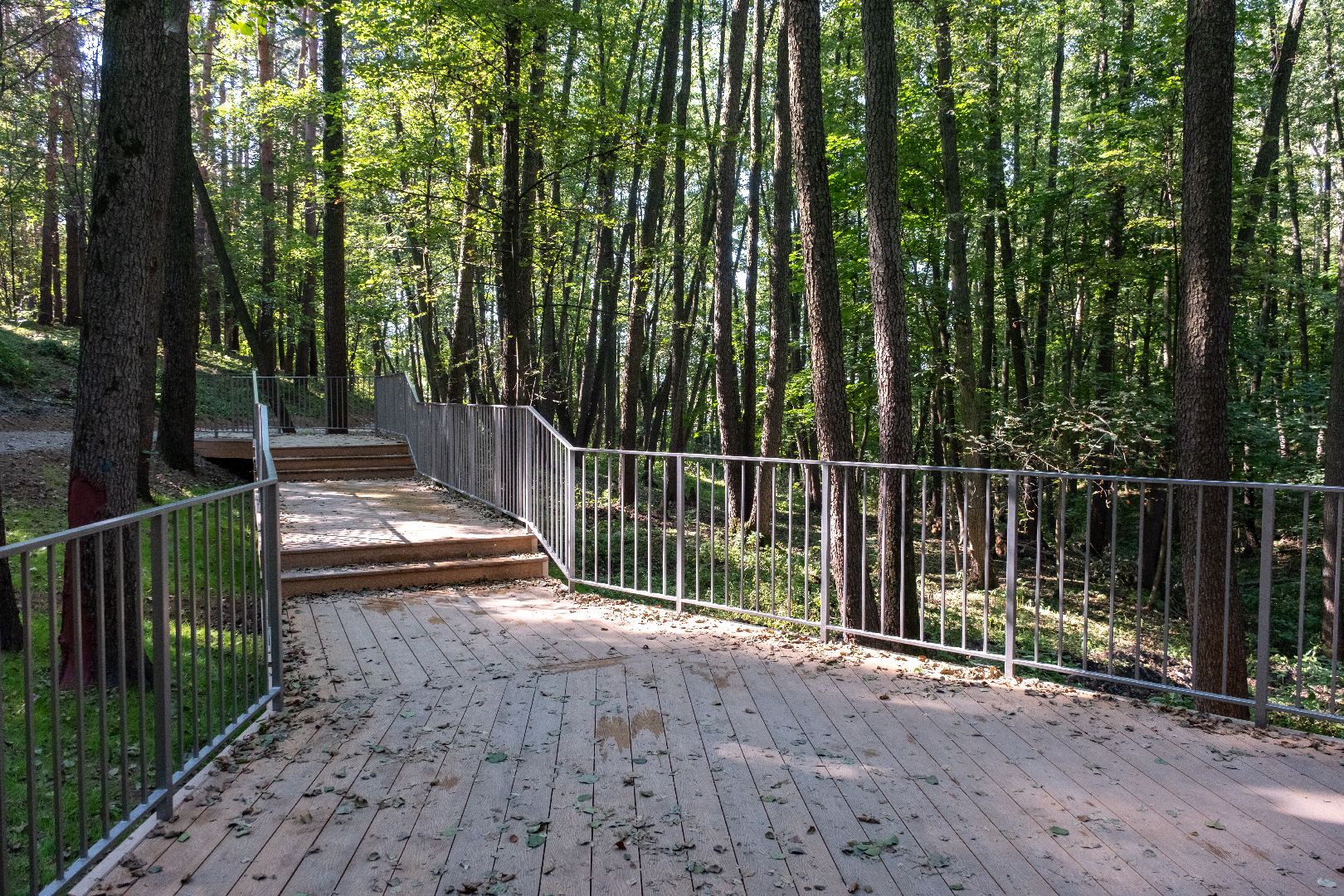 лыткарино, волкуша, родник, благоустройство,лыткарино карьер,