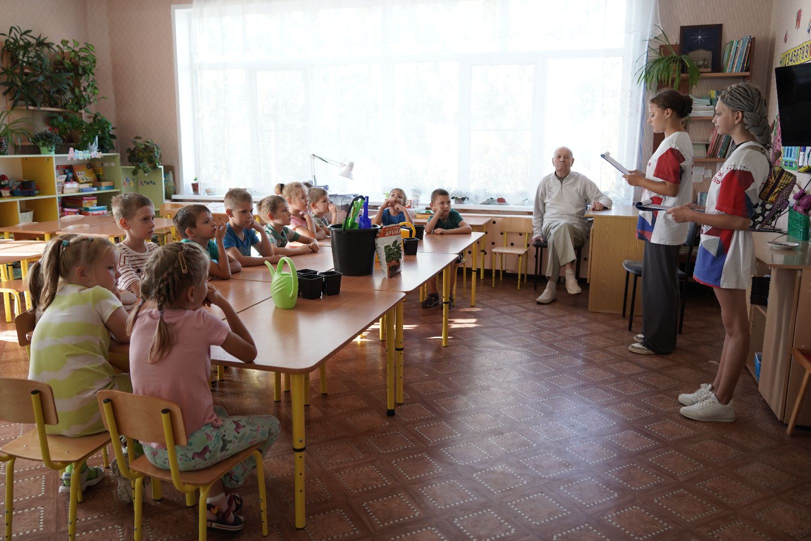 кедры, высадка кедров, кедры детям подмосковья, Шатура,