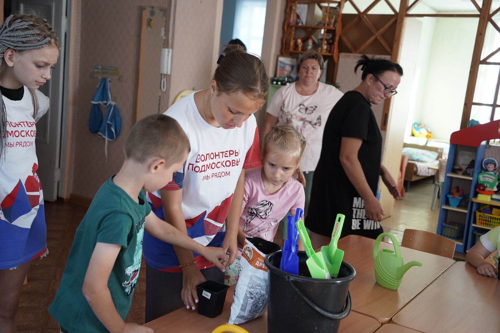 кедры, высадка кедров, кедры детям подмосковья, Шатура,