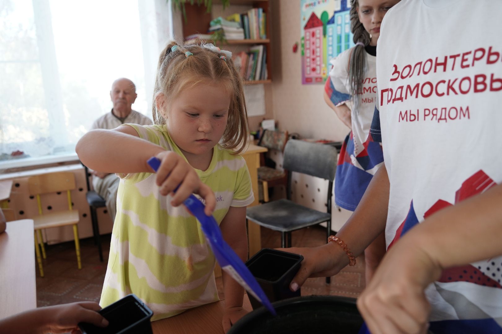 кедры, высадка кедров, кедры детям подмосковья, Шатура,