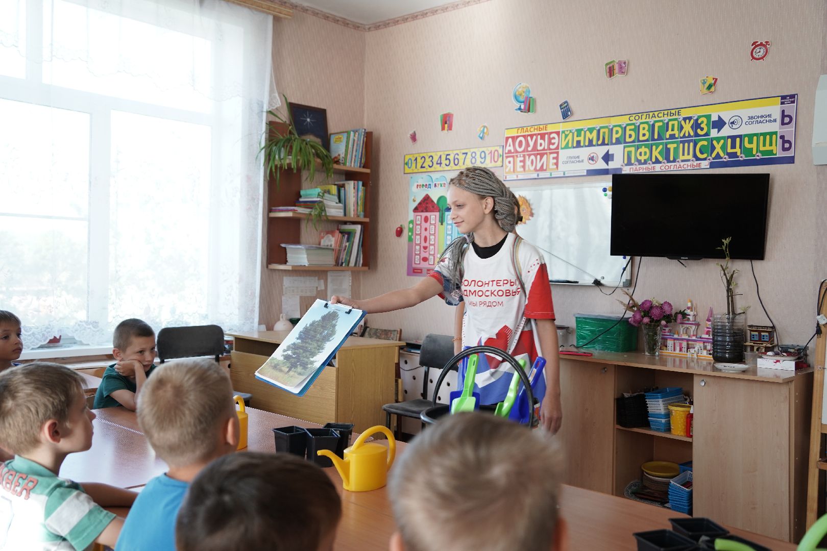 кедры, высадка кедров, кедры детям подмосковья, Шатура,