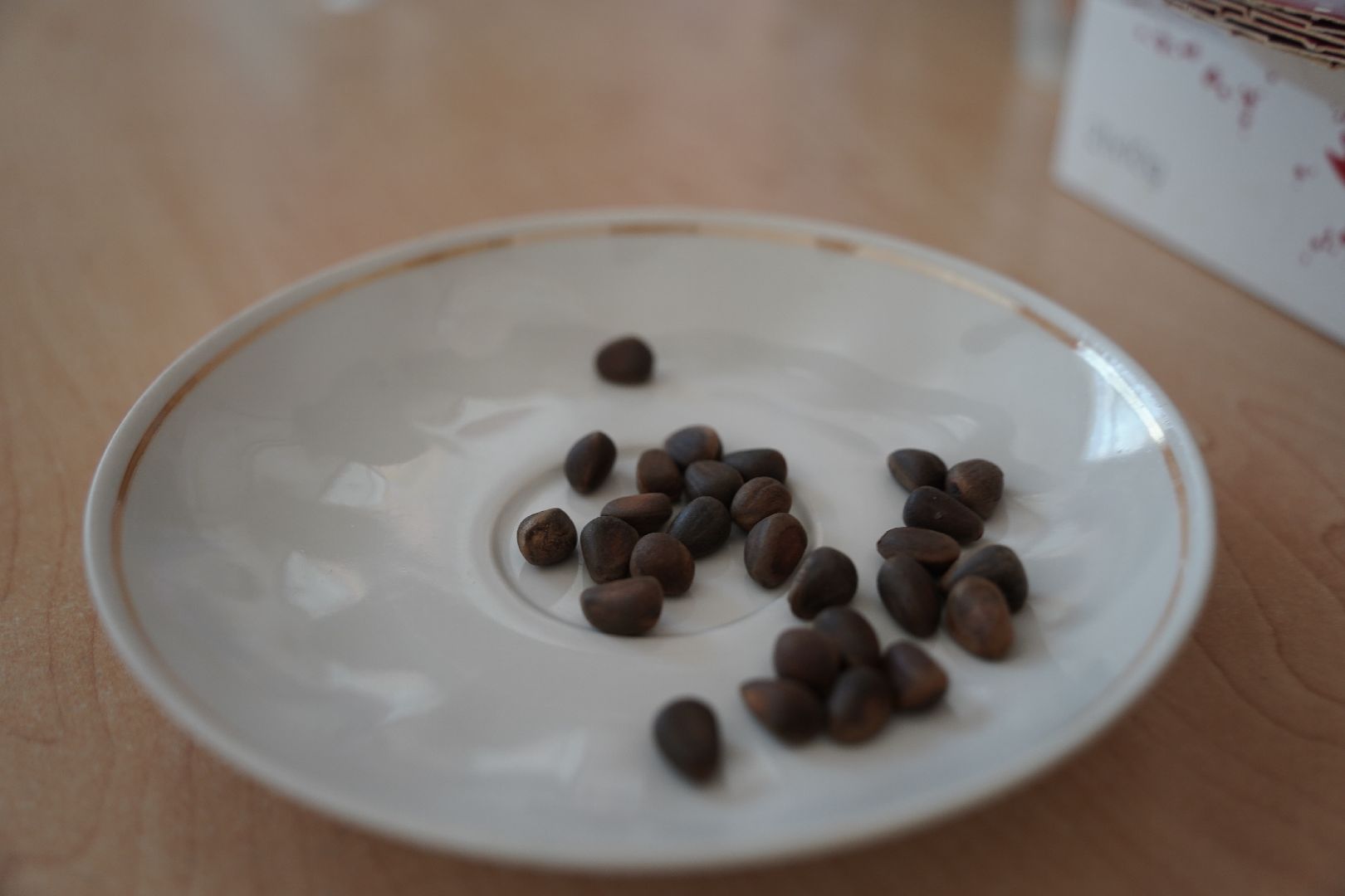 кедры, высадка кедров, кедры детям подмосковья, Шатура,