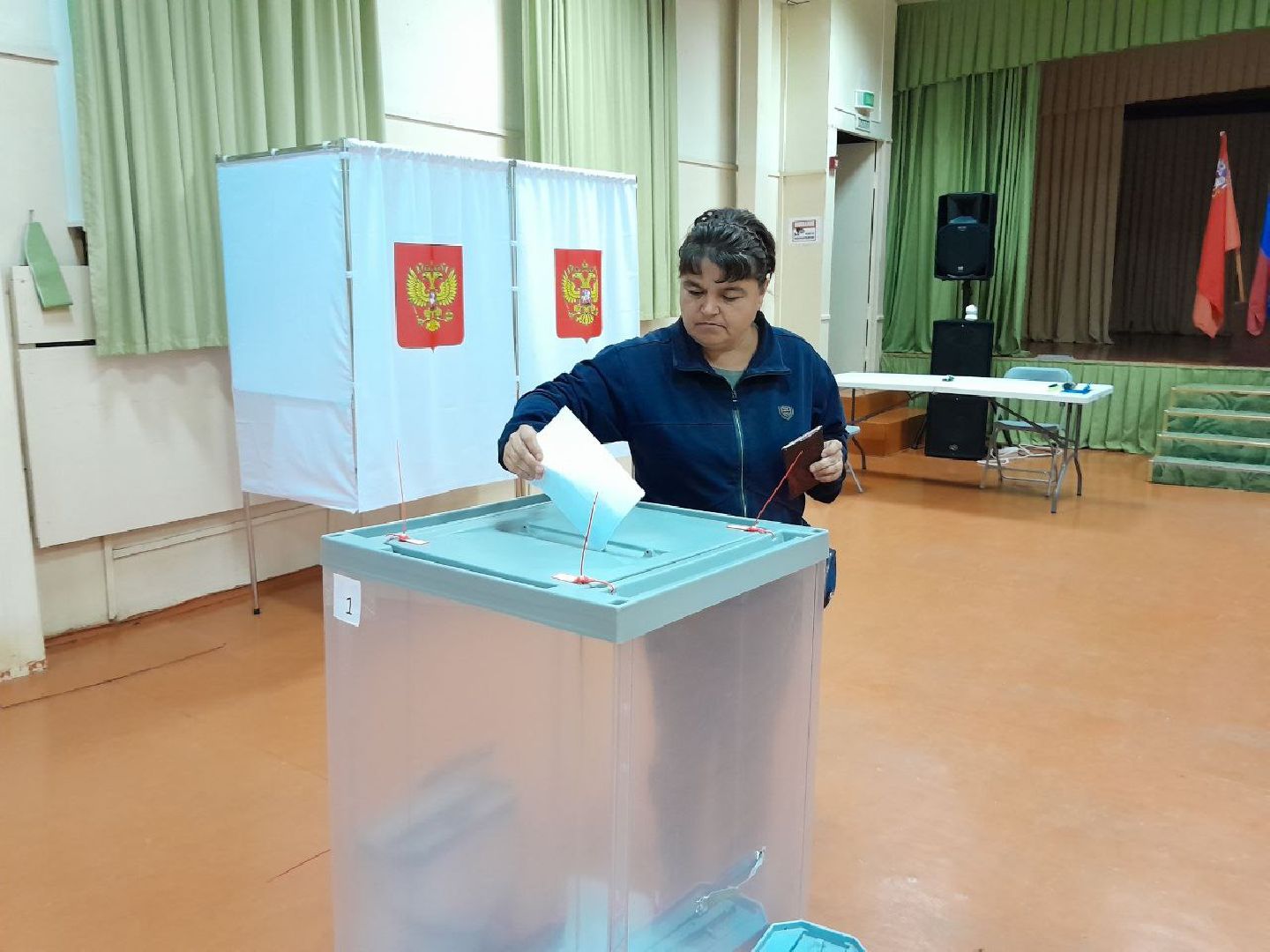 выбор 2024, выборы в совет депутатов 2024, лотошино,