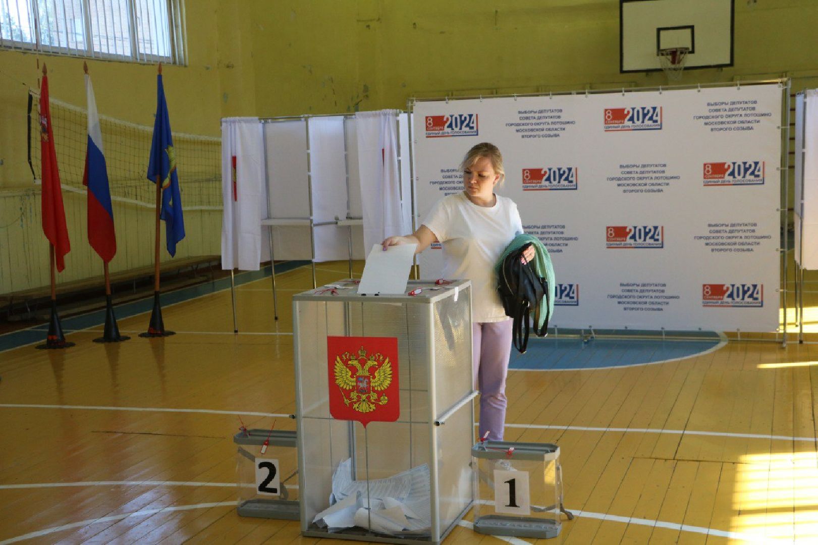 выбор 2024, выборы в совет депутатов 2024, лотошино,