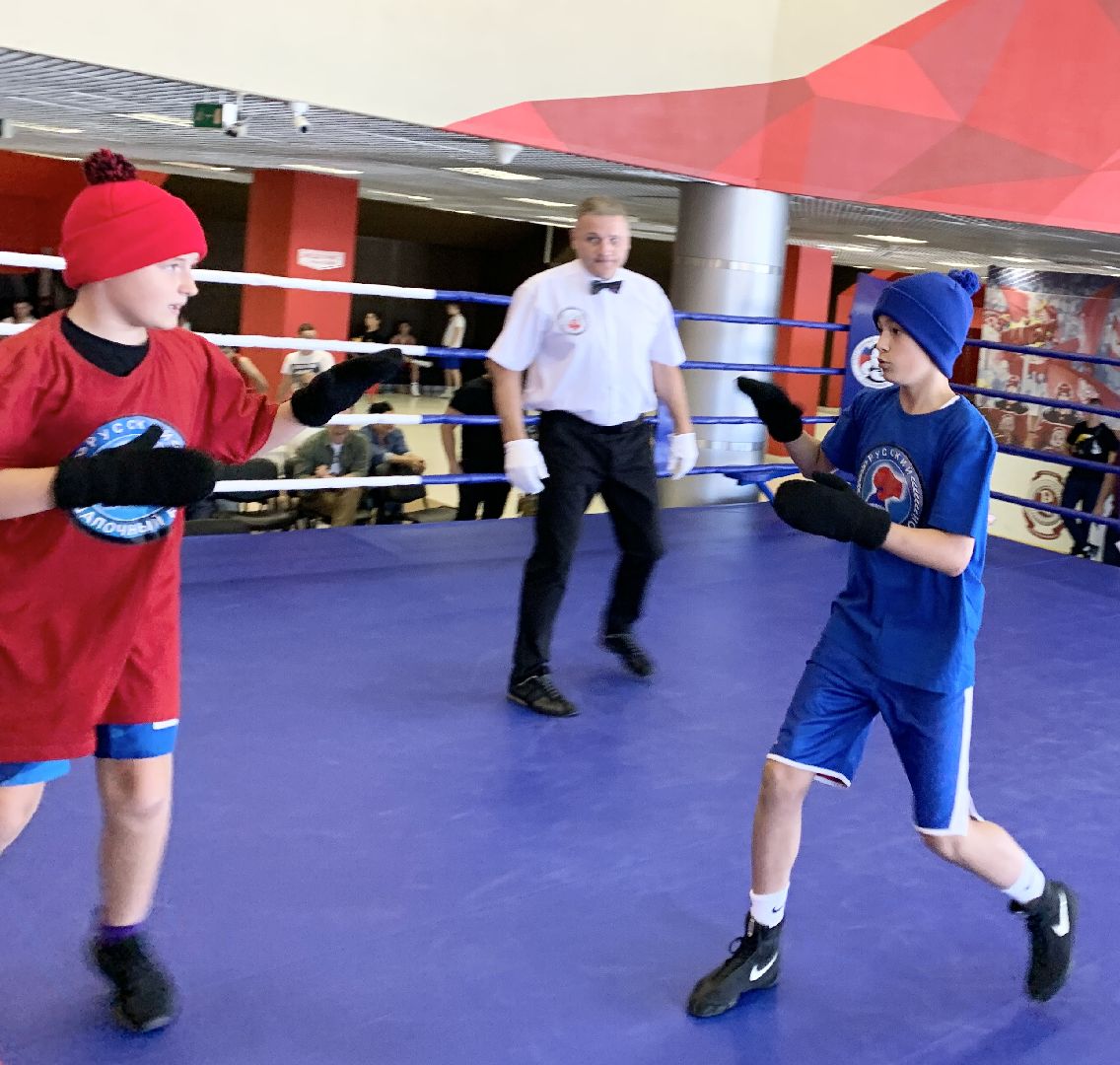 Балашиха, Подмосковье, турнир по боксу, Александр Головашкин, ветераны боевых действий,