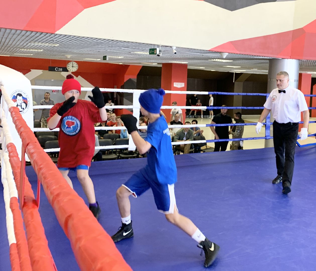 Балашиха, Подмосковье, турнир по боксу, Александр Головашкин, ветераны боевых действий,