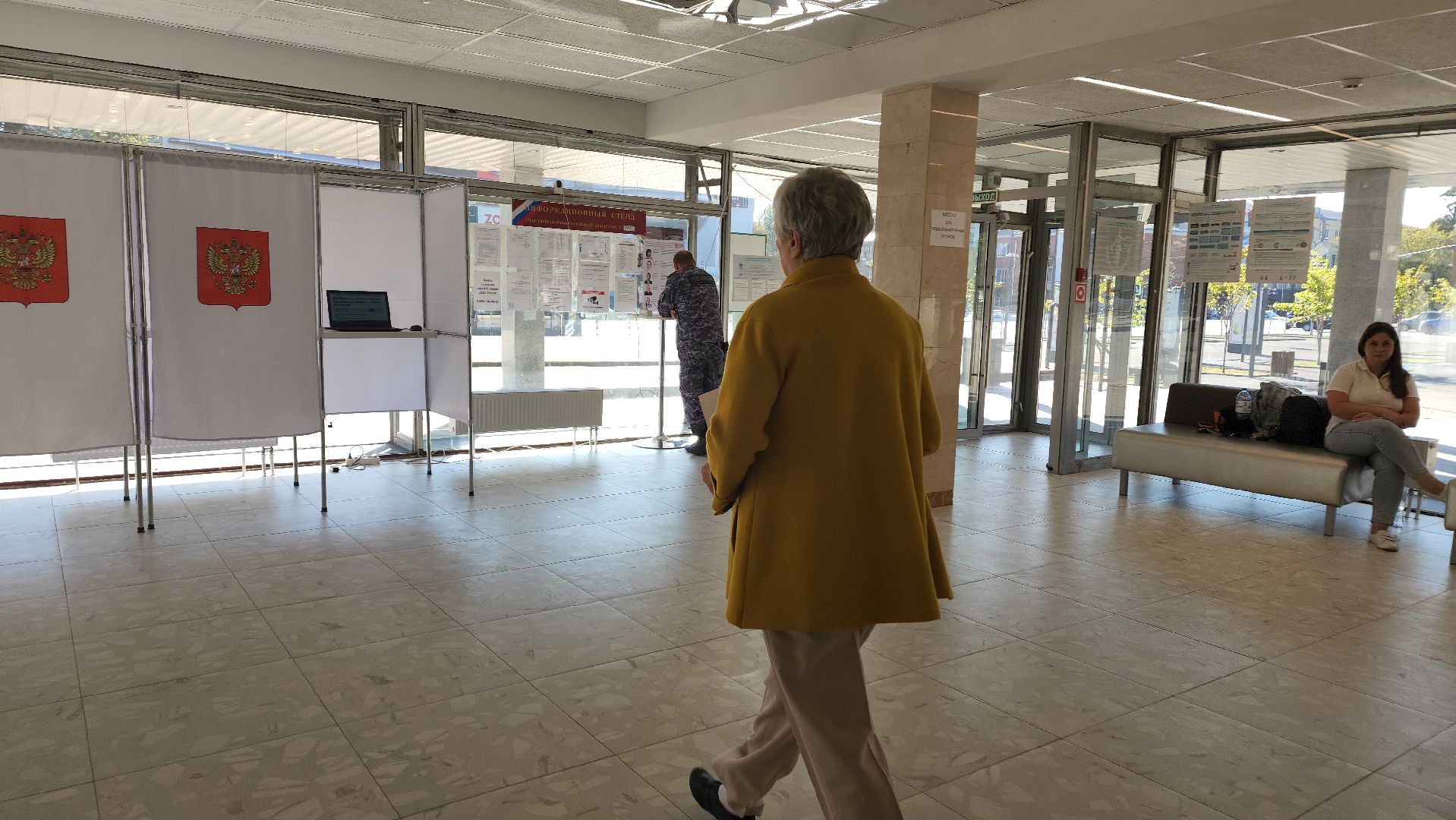 ивантеевка, пушкинский, художник, инвалид, выборы в совет депутатов 2024, голосование 2024,