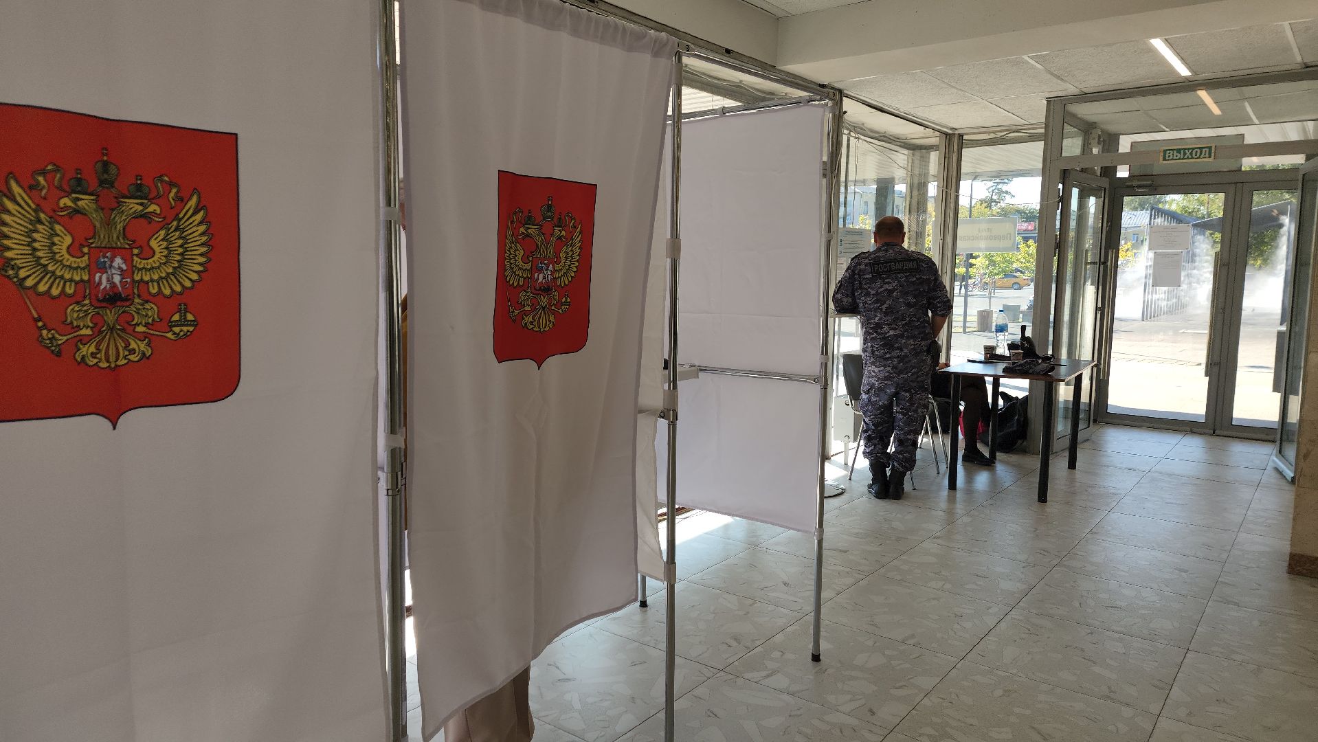 ивантеевка, пушкинский, художник, инвалид, выборы в совет депутатов 2024, голосование 2024,