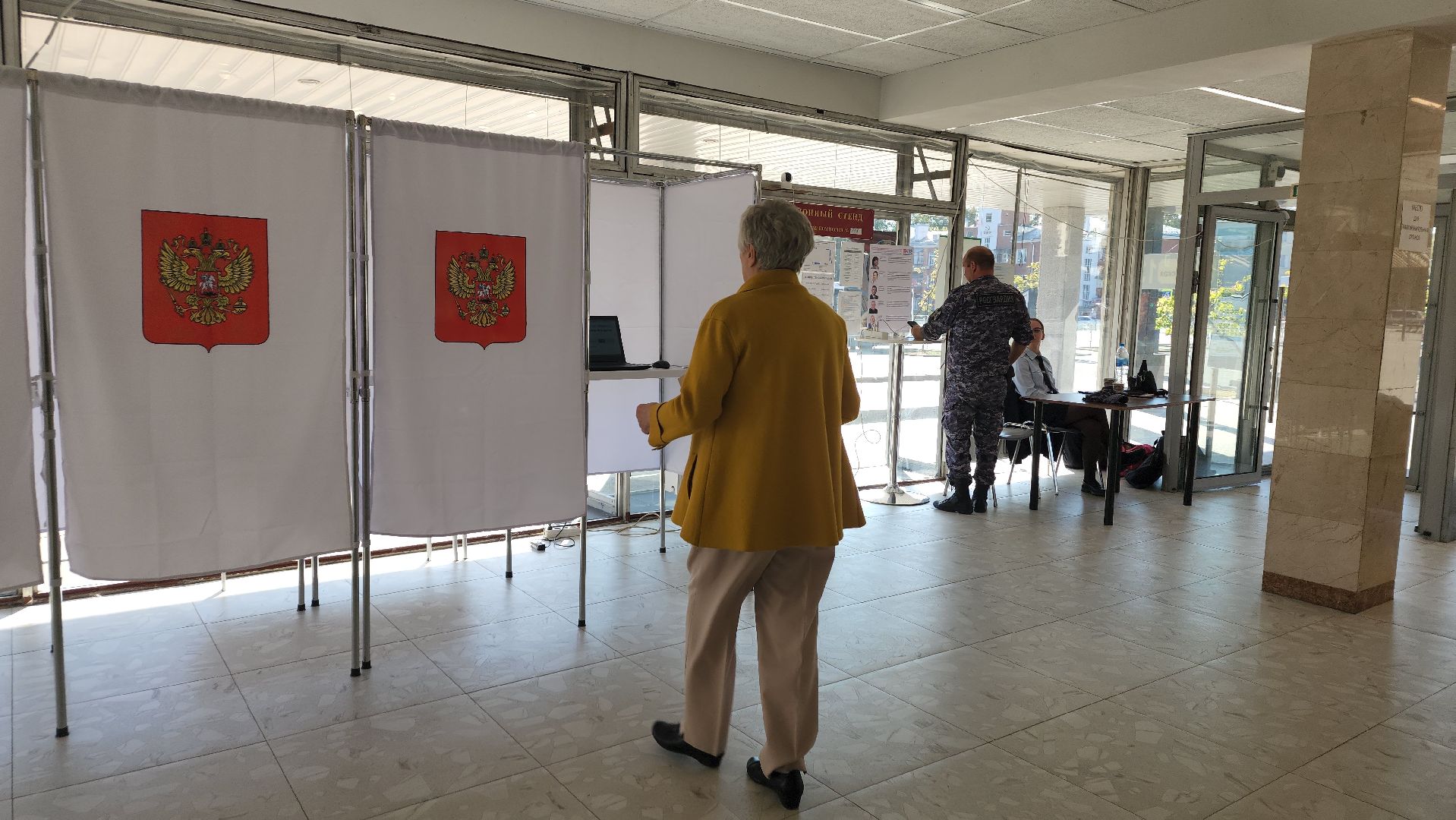 ивантеевка, пушкинский, художник, инвалид, выборы в совет депутатов 2024, голосование 2024,