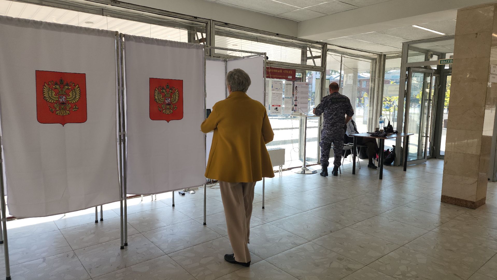 ивантеевка, пушкинский, художник, инвалид, выборы в совет депутатов 2024, голосование 2024,