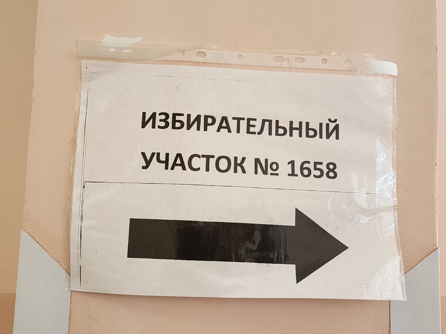 выборы,