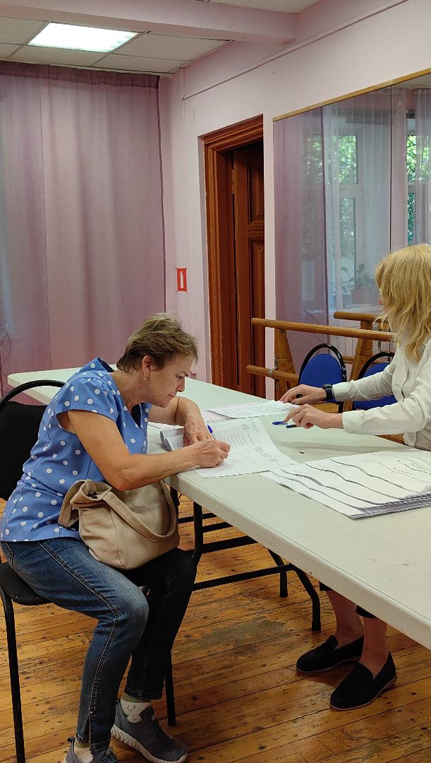 уик, выборы, обстановка, избиратели, совет депутатов,