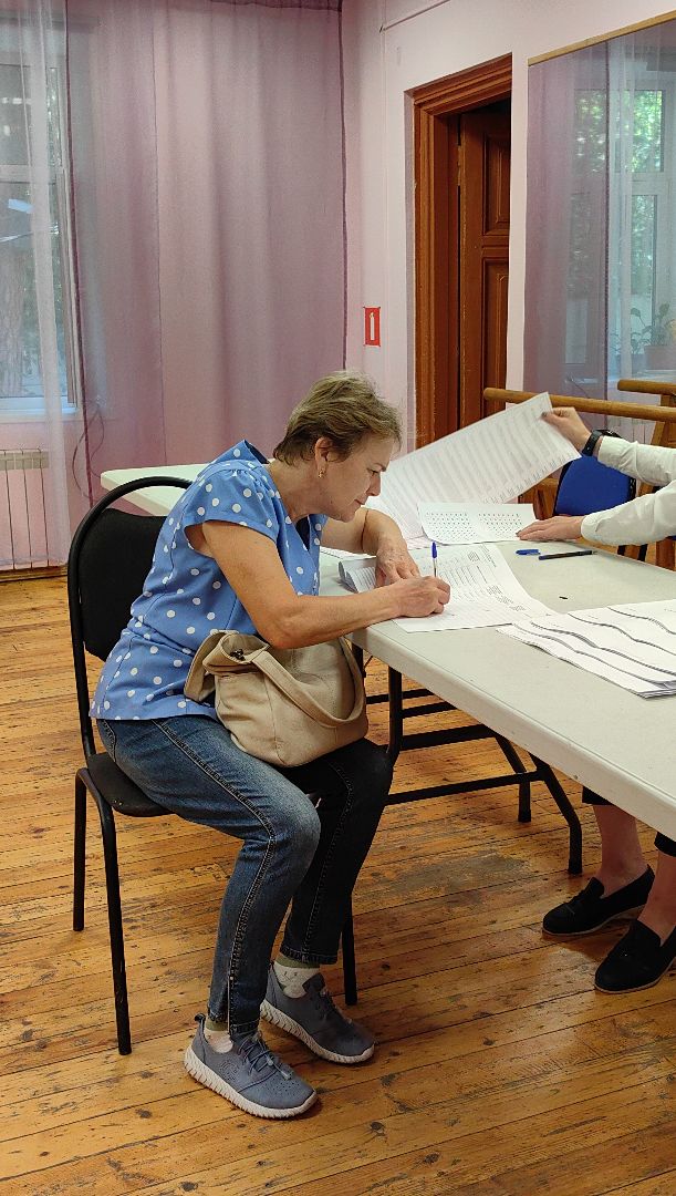 уик, выборы, обстановка, избиратели, совет депутатов,