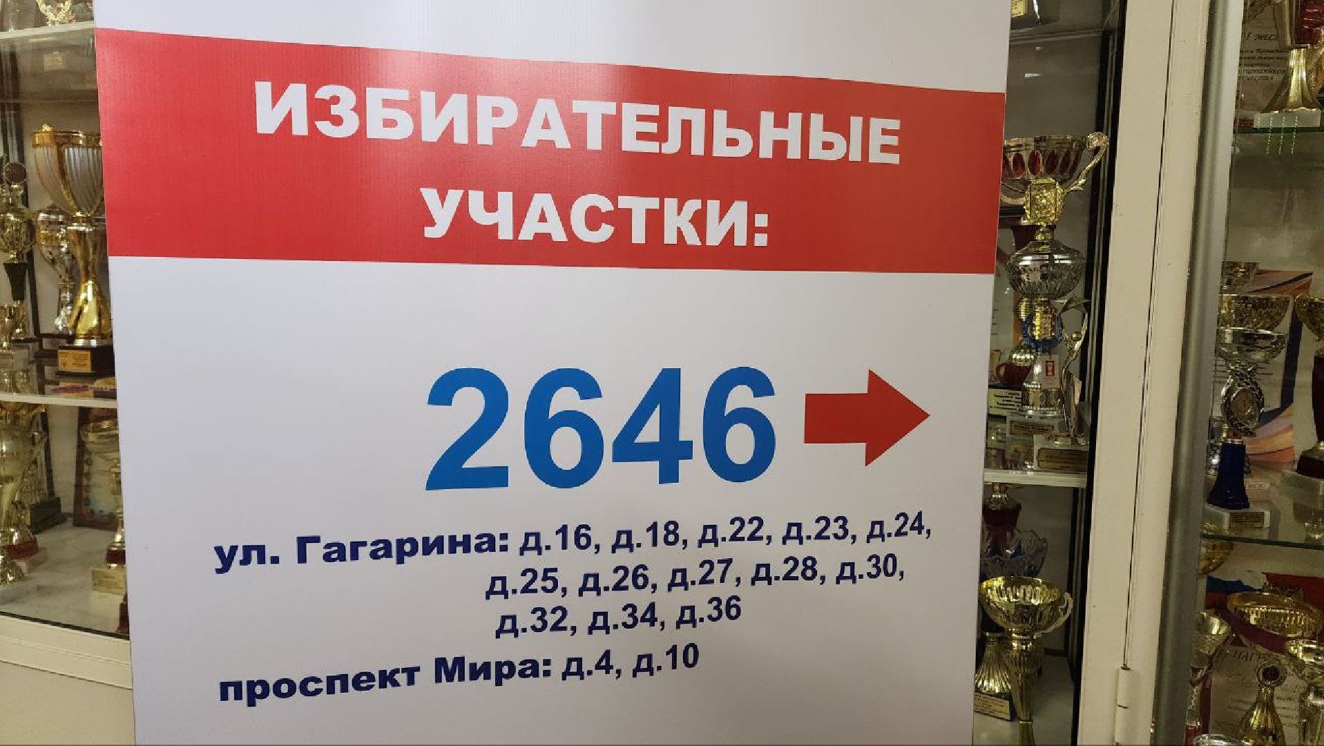 Реутов, выборы, депутаты, совет депутатов, голосование,