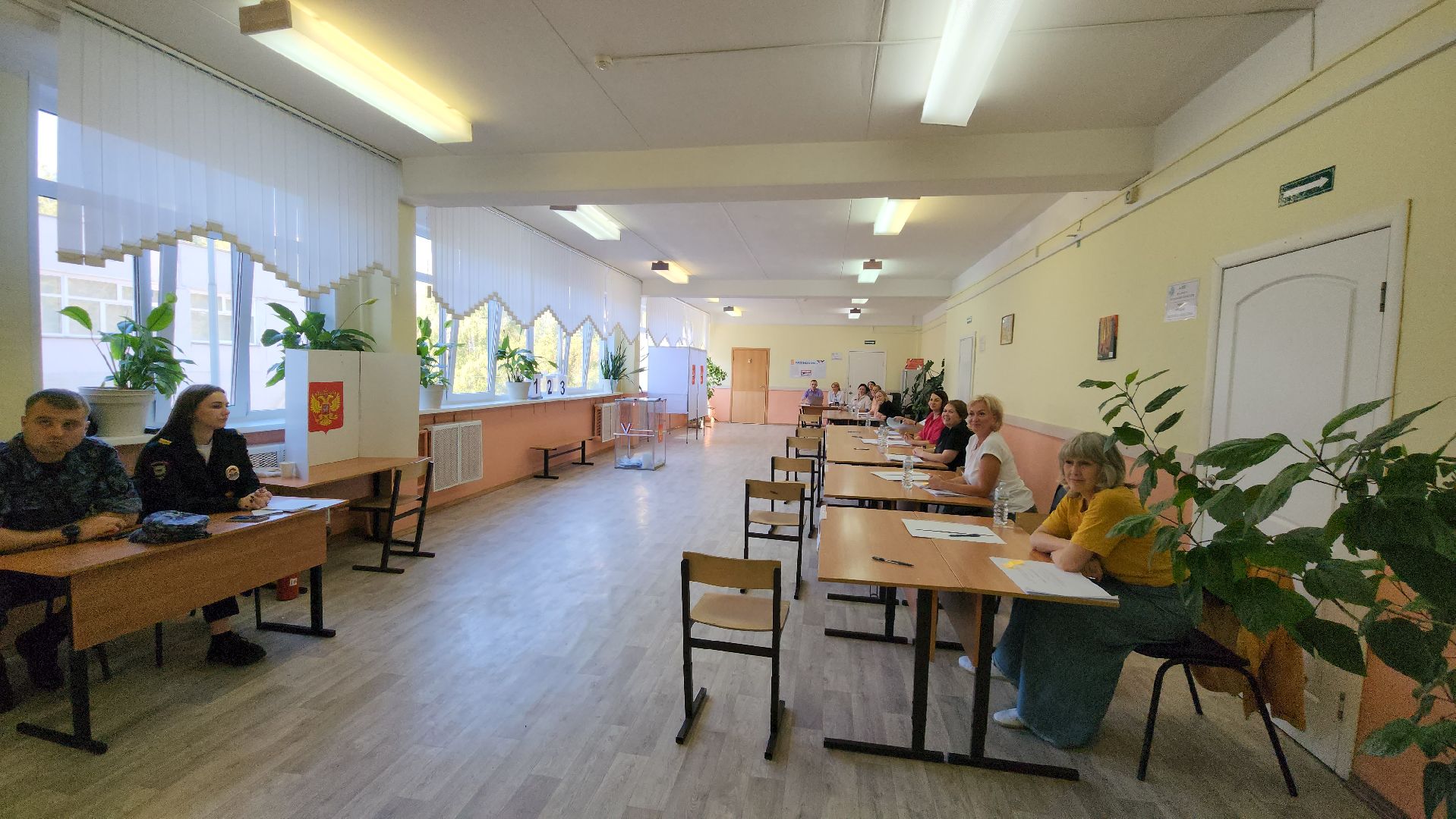 выборы, выборы совета депутатов,